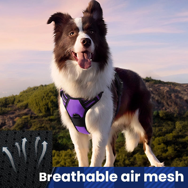PawHaven ProWalk™ No-Pull Dog Harness