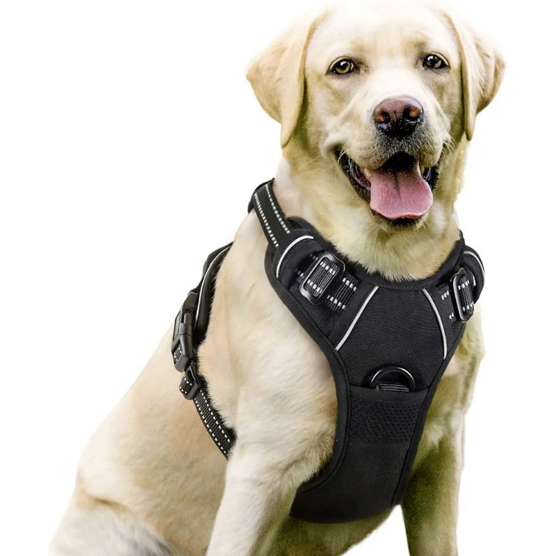 PawHaven ProWalk™ No-Pull Dog Harness