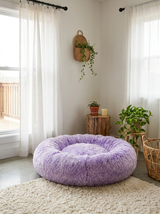 The PawHaven Bed