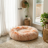 The PawHaven Bed